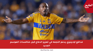 مدافع أودينيزي يدعم النجمة في تعزيز الدفاع قبل منافسات الموسم الجديد